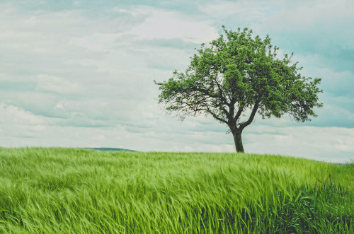 Featured Image